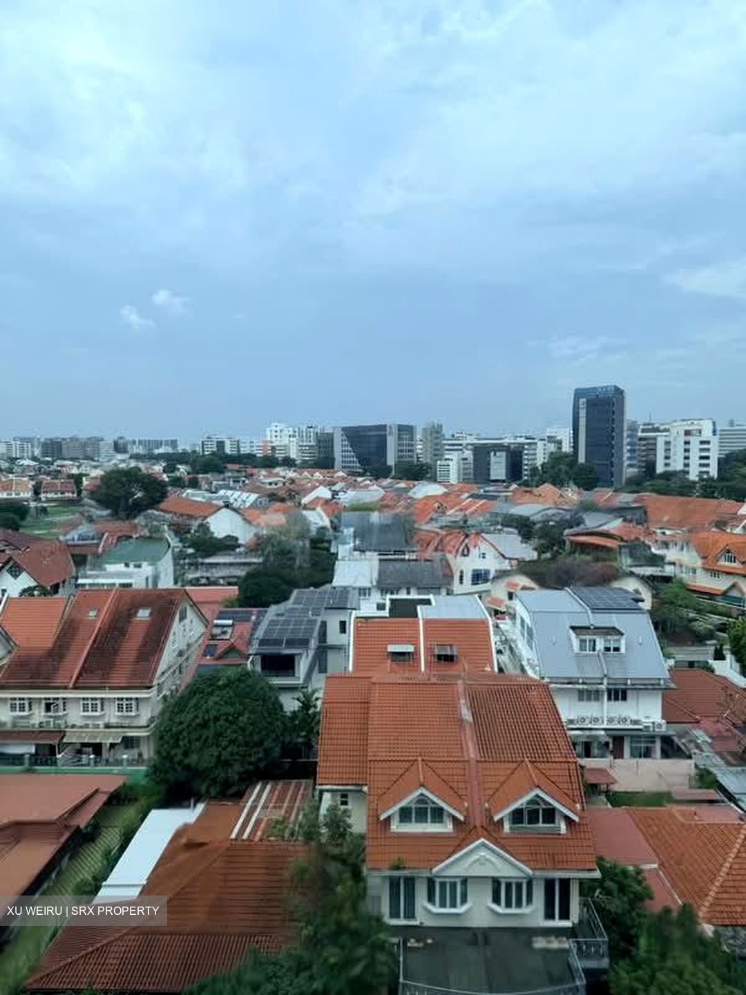 Sennett Residence (D13), Condominium #593035021